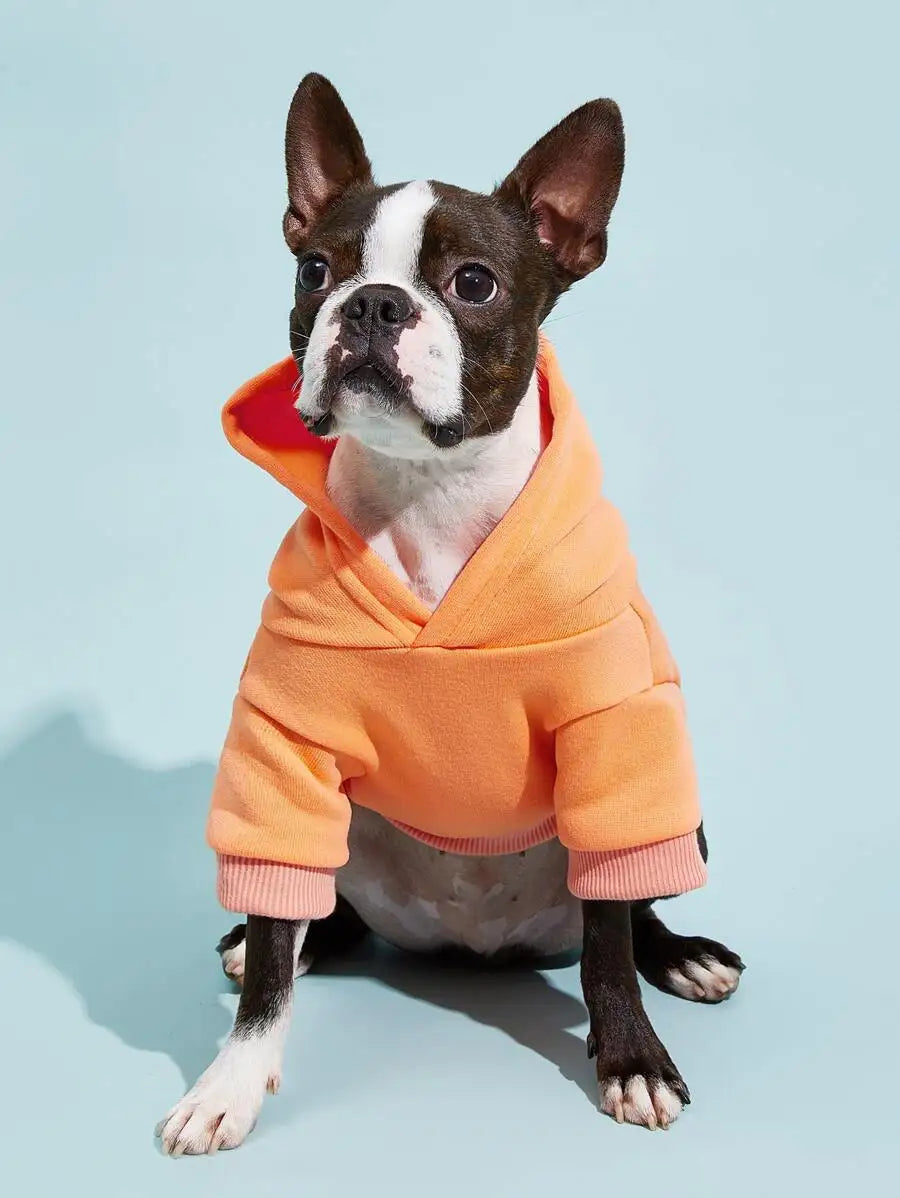 Orange Solid Color Pet Hoodie for Dogs – Cozy All-Season Wear