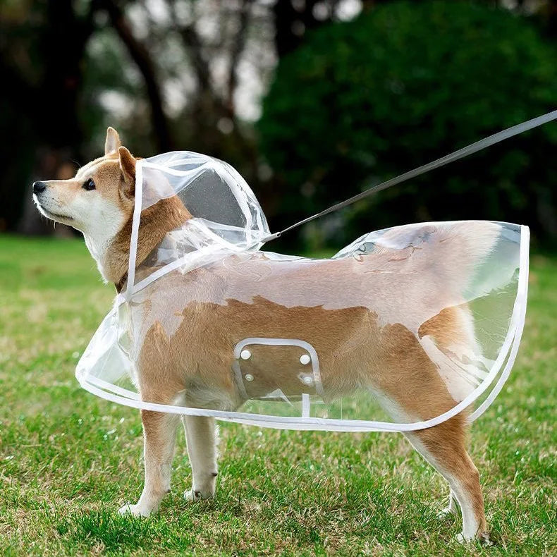 Pet Raincoat Transparent Dog Raincoat Waterproof and Windproof