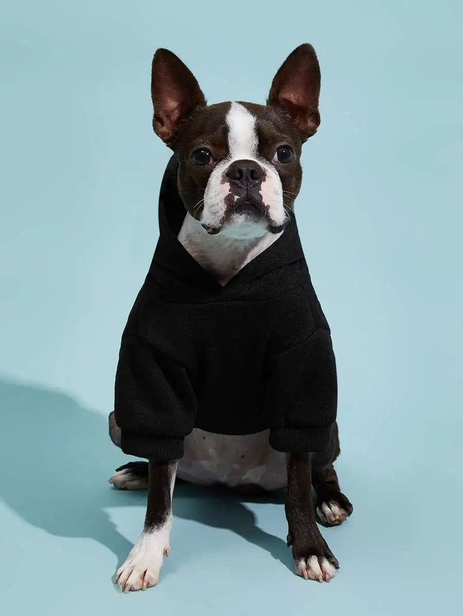 Orange Solid Color Pet Hoodie for Dogs – Cozy All-Season Wear