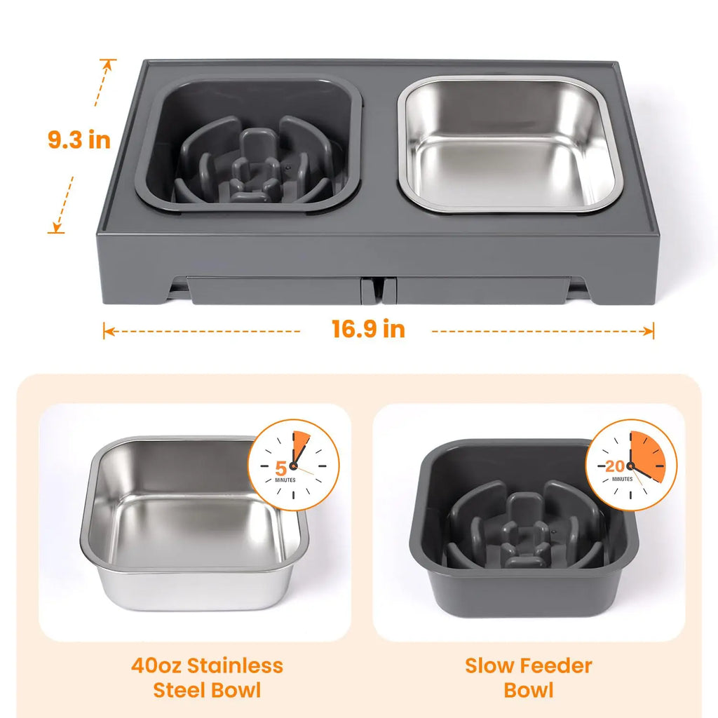 2-in-1 Elevated Slow Feeder Dog Bowls, Non-Slip Stainless Steel/Plastic