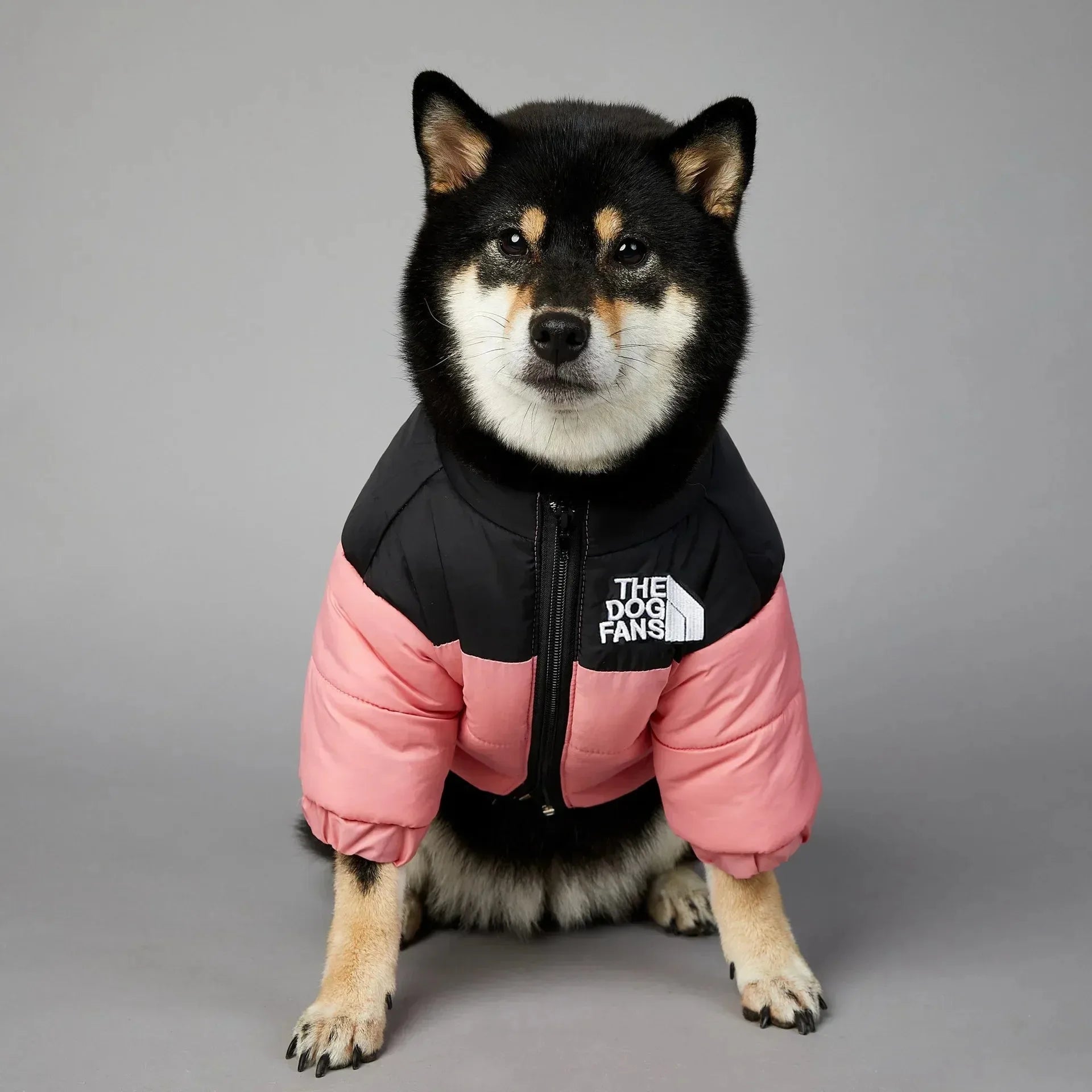 Dog Warm Thick Down Jacket for Small & Medium Dogs