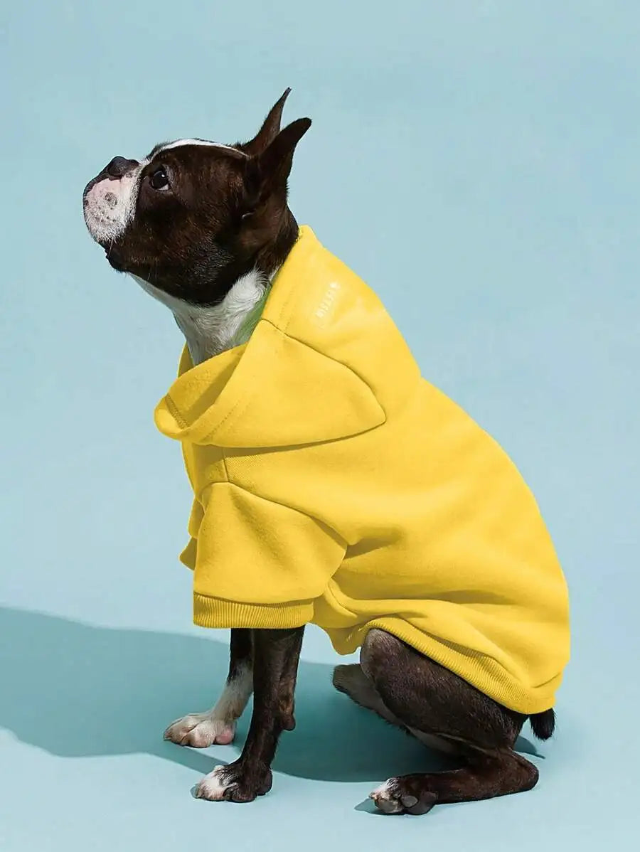 Orange Solid Color Pet Hoodie for Dogs – Cozy All-Season Wear