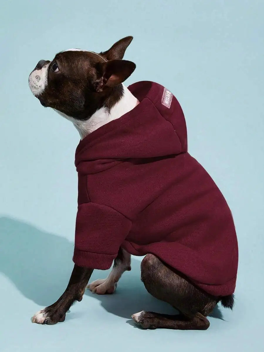 Orange Solid Color Pet Hoodie for Dogs – Cozy All-Season Wear