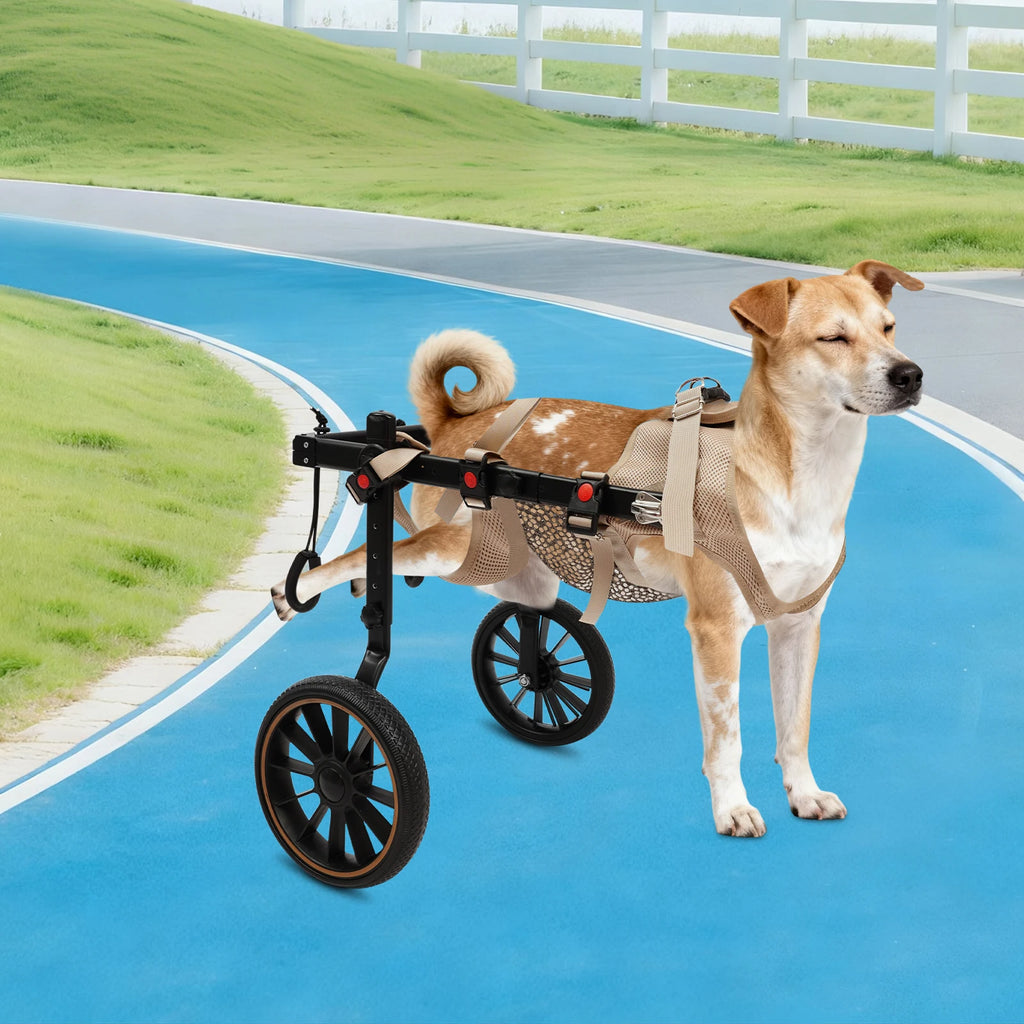 2-Wheel Dog Wheelchair for Back Legs/Senior Dogs 65kg Load