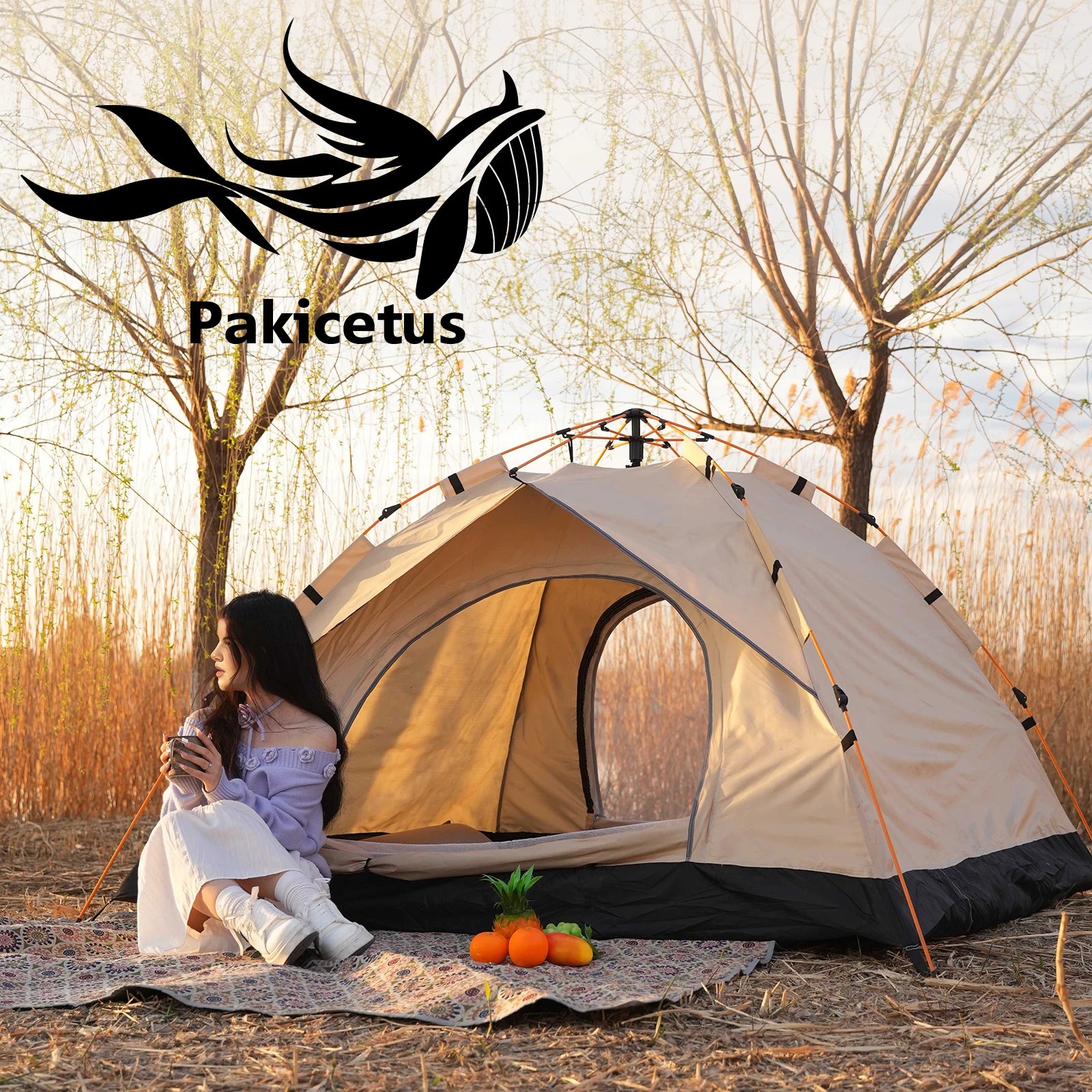 2-4 Person Camping Windproof Tents, Easy To Set Up,